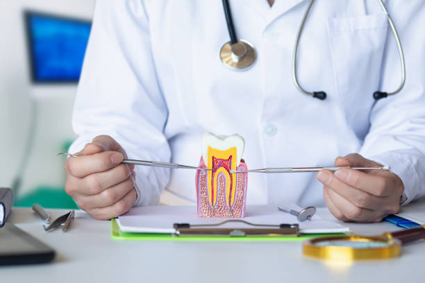 Best Emergency Broken Tooth Repair in Lake City, MN